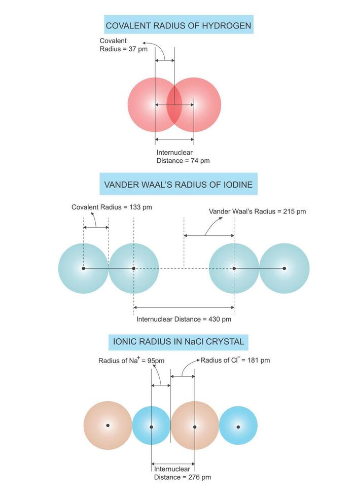 atomair straal. covalent ,vander waals en ionisch straal concept. chemie illustratie. vector