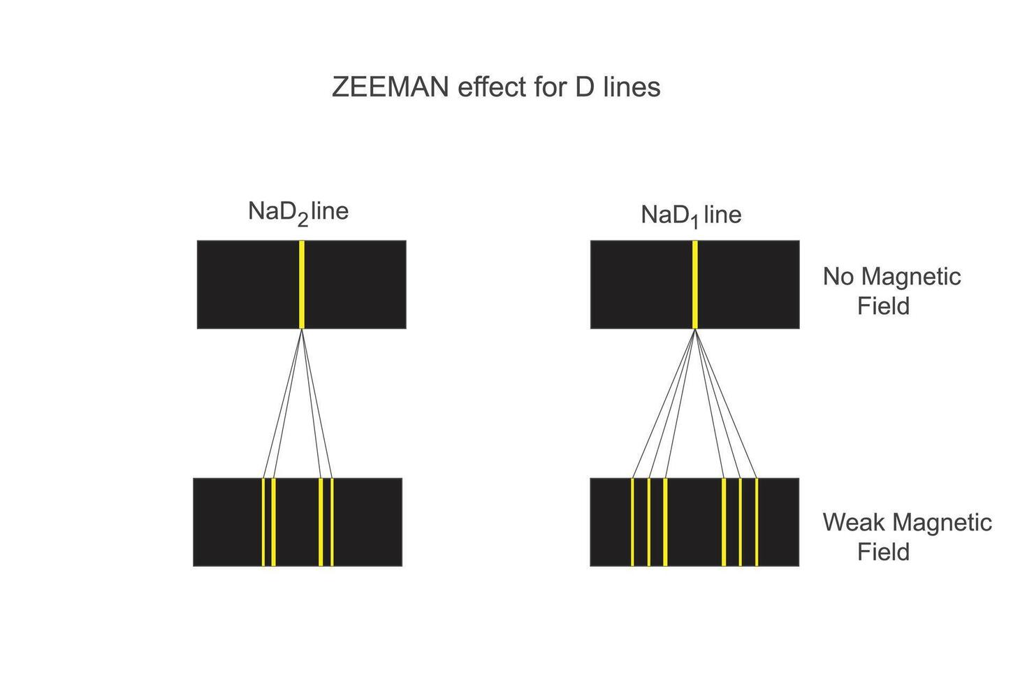 zeeman effect. splitsen van spectraal lijnen in een magnetisch veld, onthullend magnetisch eigendommen van atomen. atomair spectra. chemie illustratie. vector