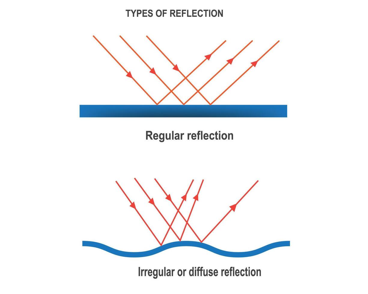 types van reflectie vector