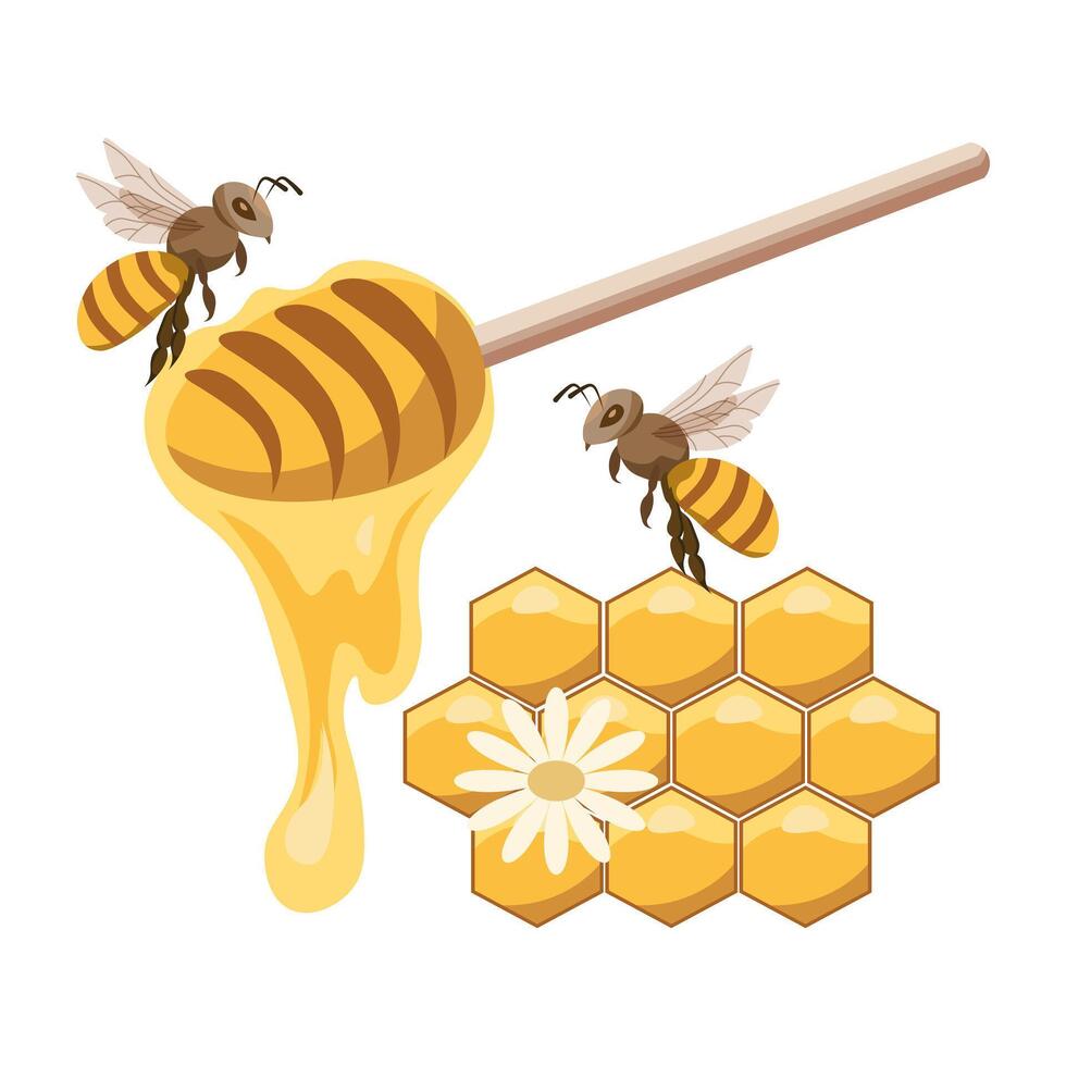 bijen, lepel met honing en honingraat. voedsel illustratie, afdrukken, vector