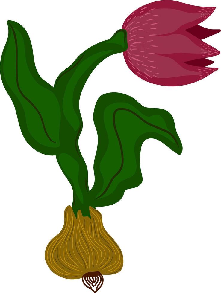 een rood tulp met groen bladeren en een stam vector