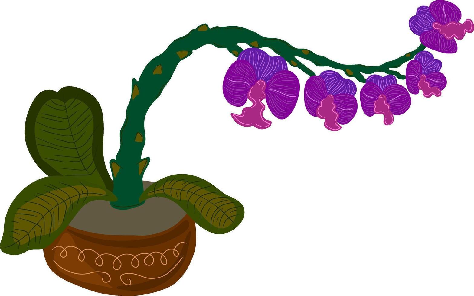 een orchidee fabriek met Purper bloemen in een pot vector