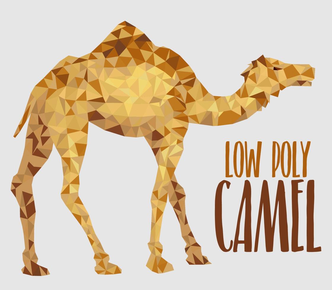 Afrikaanse eenhoornige kameel vectorillustratie vector