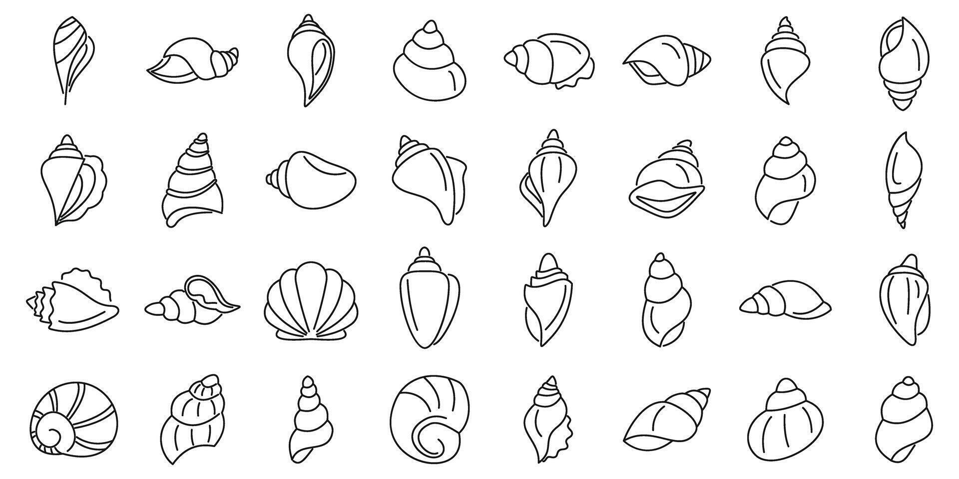 schelp pictogrammen reeks schets vector. zee schelp vector