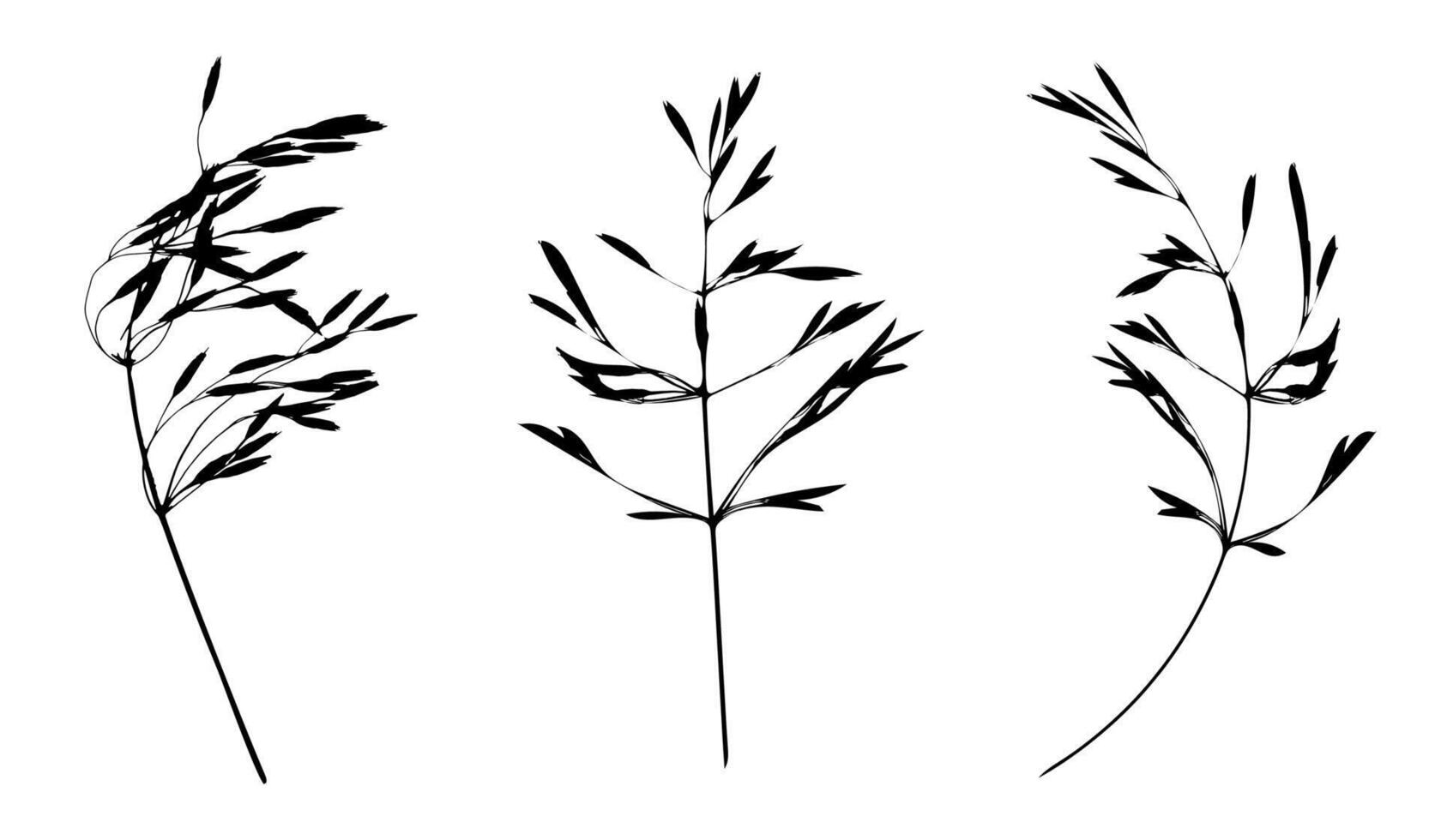 zwart ontbijtgranen gras bladeren silhouetten geïsoleerd Aan wit. herfst gedaald veld- gras bladeren. stencil vector