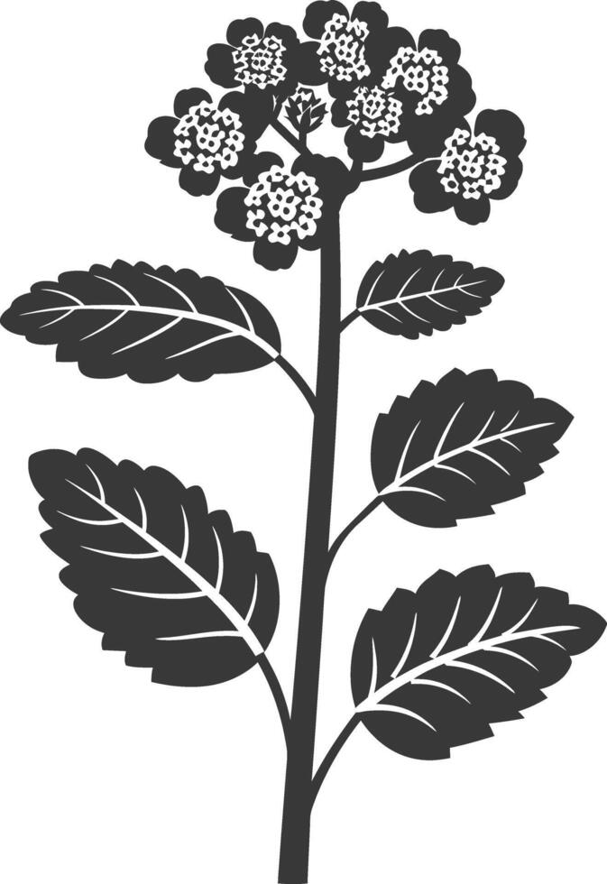 ai gegenereerd silhouet lantana bloem zwart kleur enkel en alleen vector