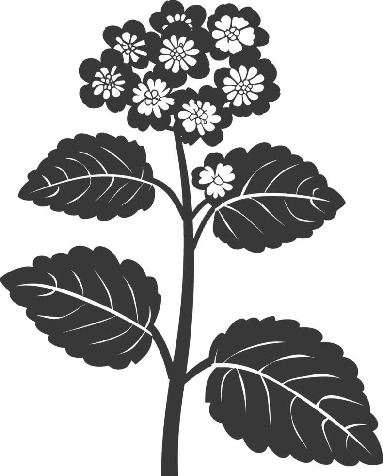 ai gegenereerd silhouet lantana bloem zwart kleur enkel en alleen vector