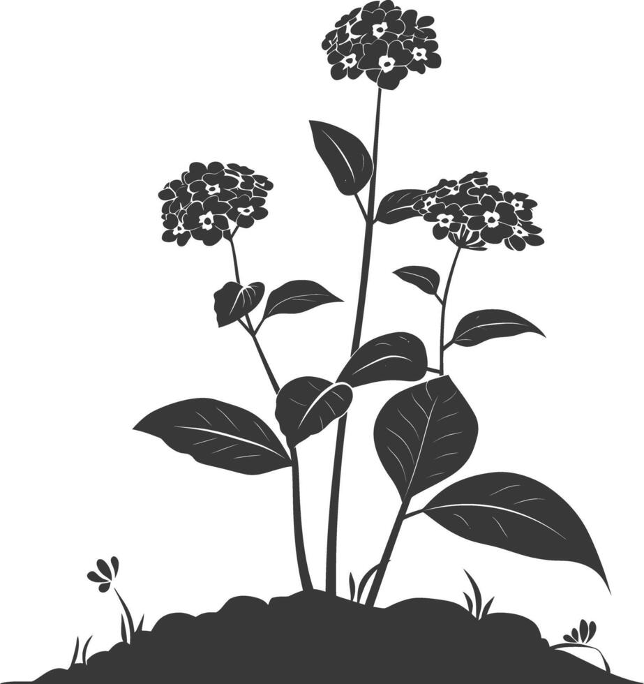 ai gegenereerd silhouet lantana bloem in de grond zwart kleur enkel en alleen vector