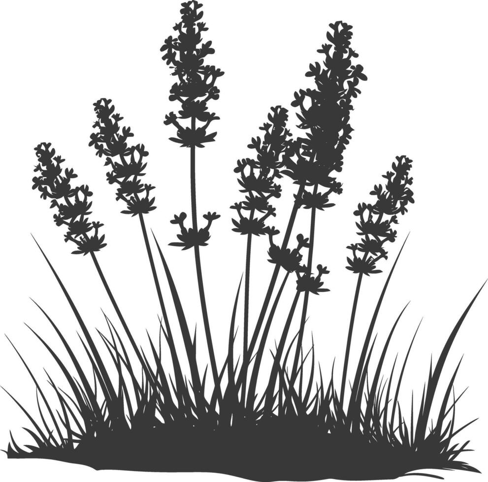 ai gegenereerd silhouet lavendel bloem in de grond zwart kleur enkel en alleen vector