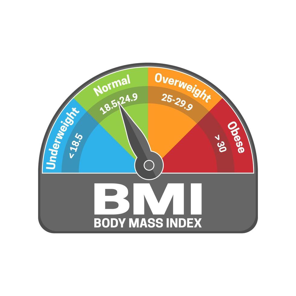 bmi lichaam massa inhoudsopgave berekenen illustratie of infographic grafiek. ondergewicht, normaal, te zwaar en zwaarlijvig vector