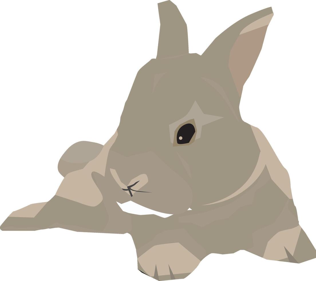 baby konijn huisdier slaap grappig illustratie tekenfilm transparant PNG vector