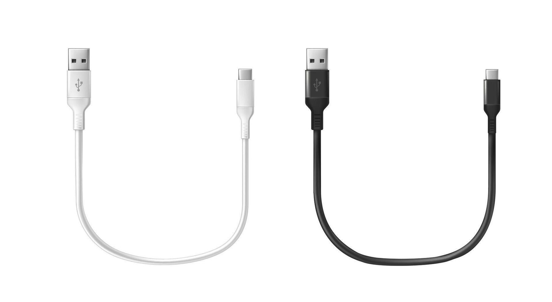 3d realistisch vector icoon. zwart en wit opladen USB kabel. geïsoleerd Aan wit.