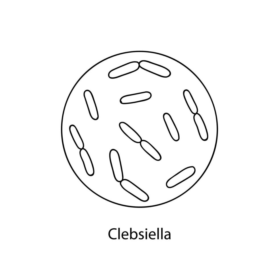 ziekmakend bacteriën. bacterieel micro-organisme. microbiologie, infographics. hand- getrokken tekening stijl. vector