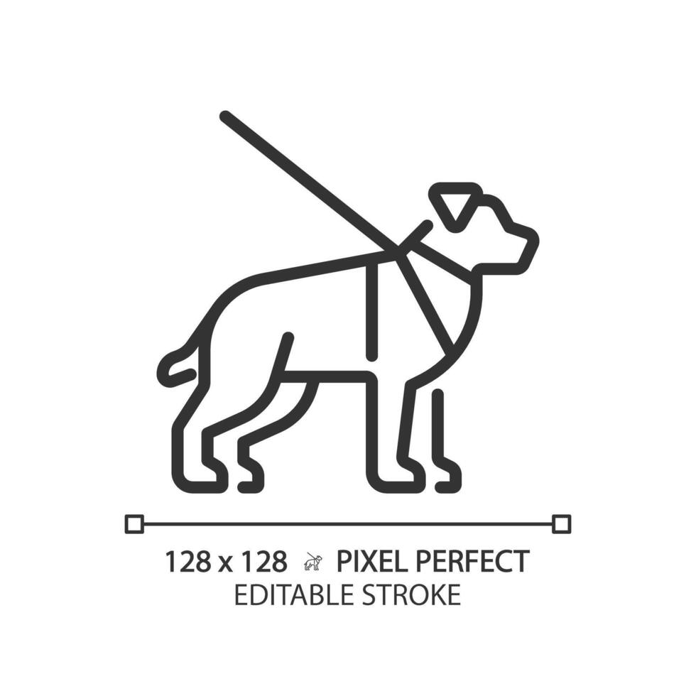 gids hond lineair icoon. zichtbaar beperking, ondersteuning dier. huisdier opleiding, vrijwilligerswerk. blindheid ondersteuning Diensten. dun lijn illustratie. contour symbool. vector schets tekening. bewerkbare beroerte