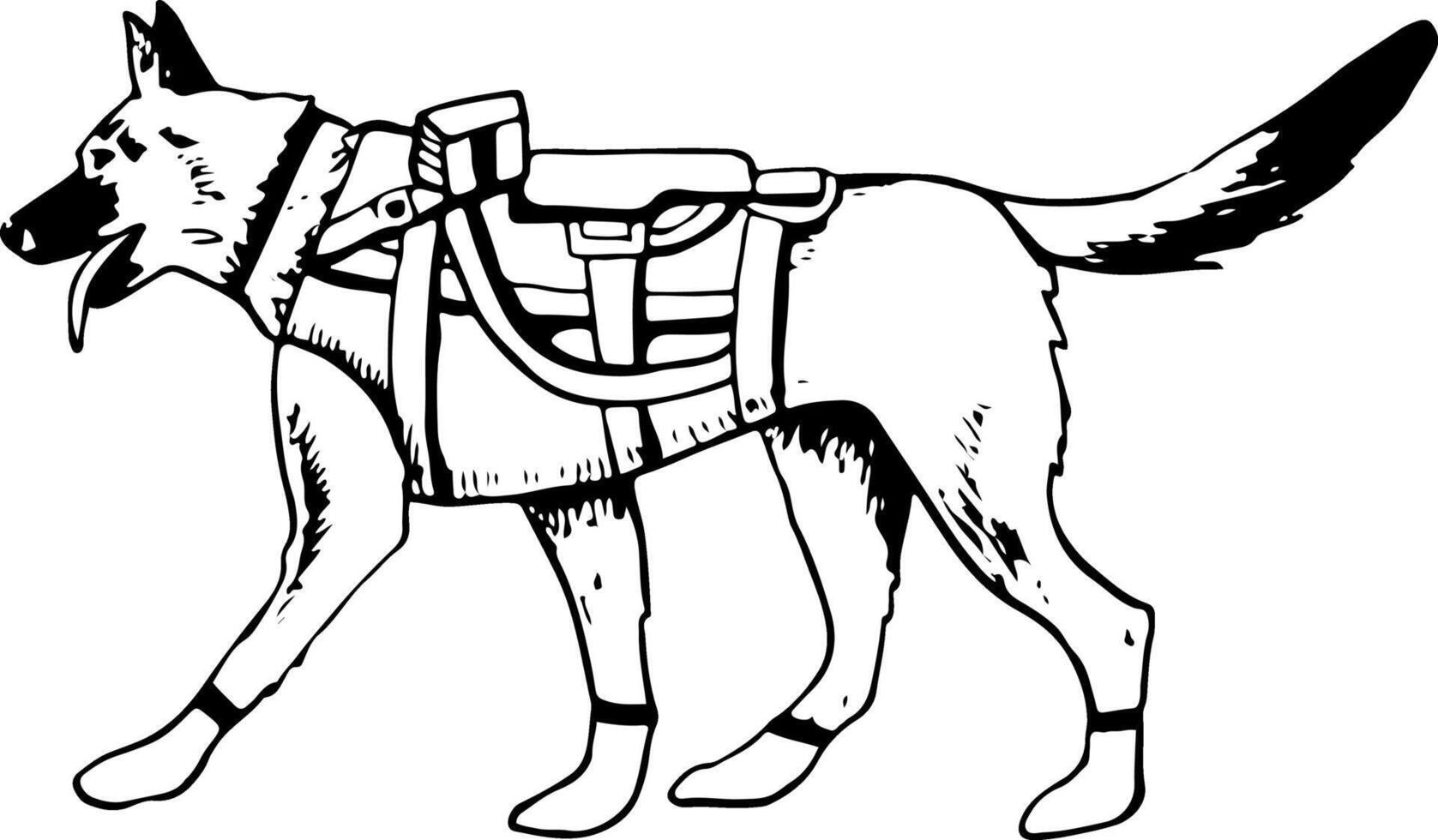 leger hond soldaat in schild hesje vector illustratie. wandelen k9 Duitse herder of belgisch Mechelaar zwart en wit tekening voor patriottisch veteraan dag ontwerpen