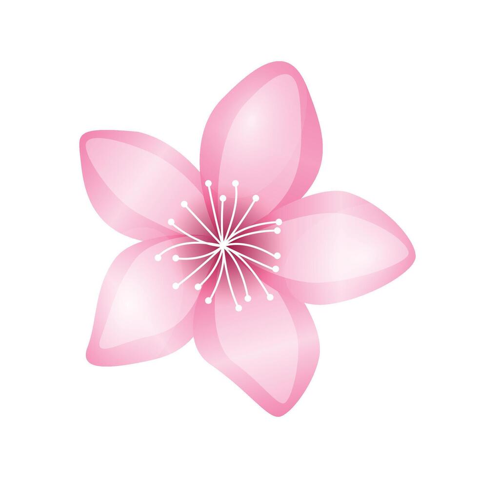 vector Akura bloem icoon delicaat kers bloesem bloemblaadjes voorjaar motieven
