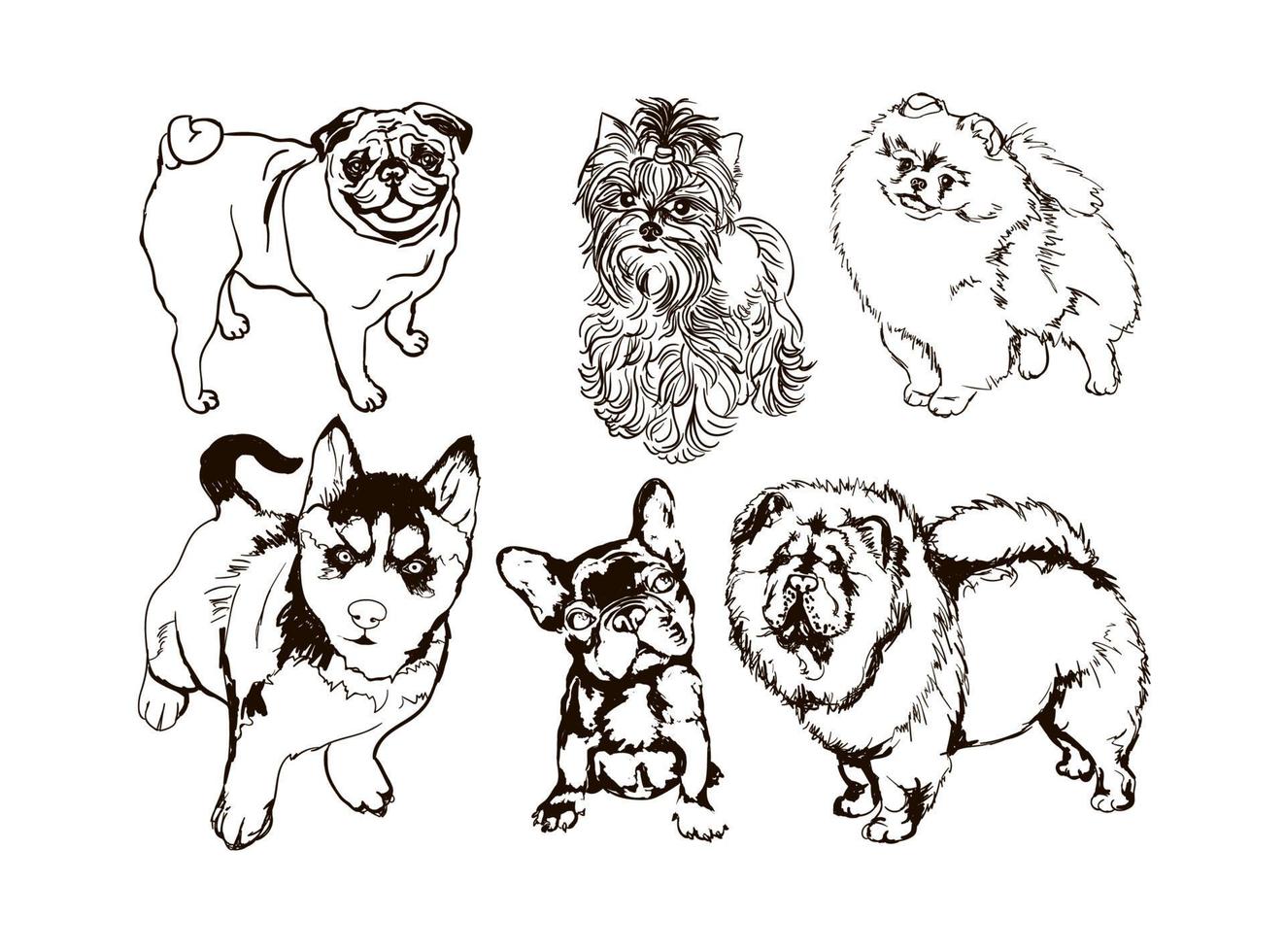 vectorreeks kleurrijke illustraties met honden van verschillende rassen vector