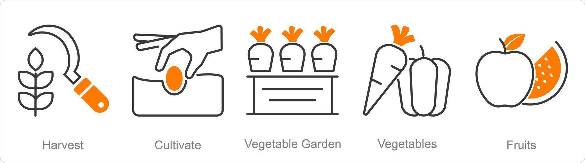 een reeks van 5 biologisch landbouw pictogrammen net zo oogst, cultiveren, groente tuin vector