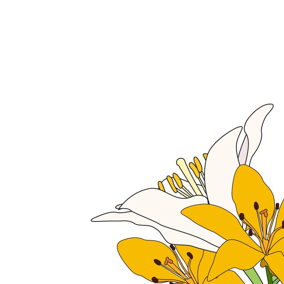 hand getekende lilly bloem. vector illustratie