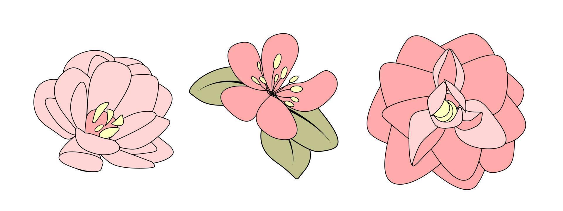 handgetekende bloem. vector illustratie