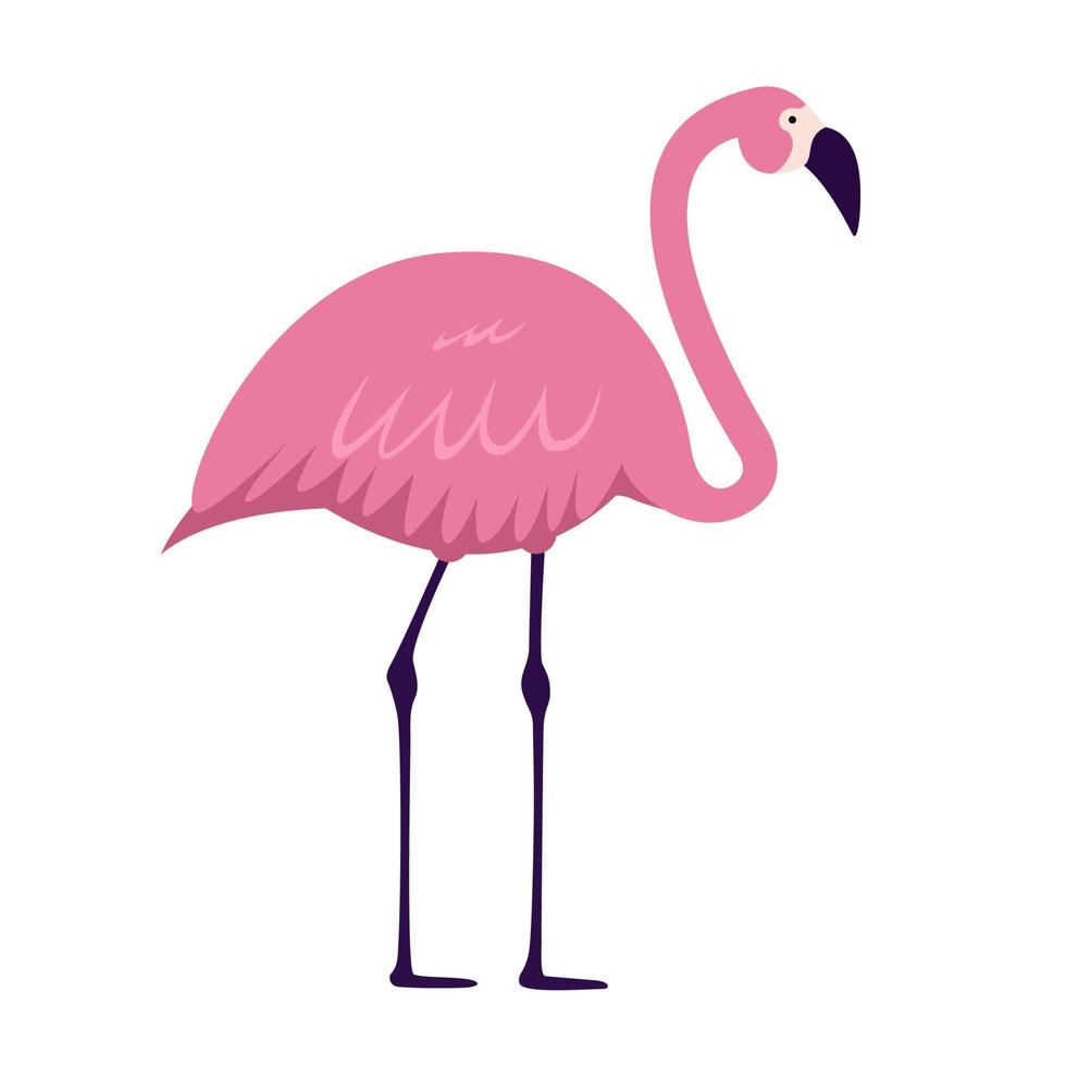 cartoon roze flamingo op witte achtergrond. vector illustratie