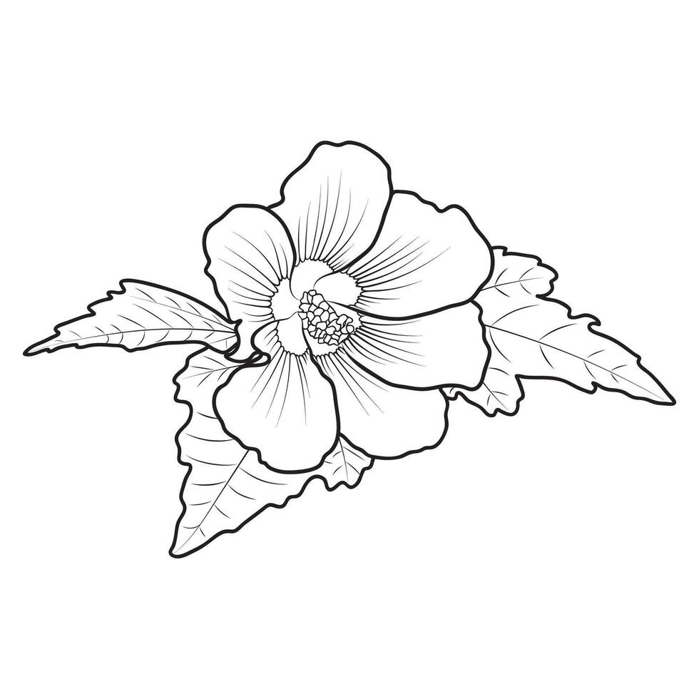 schets winterhard hibiscus syriacus vector