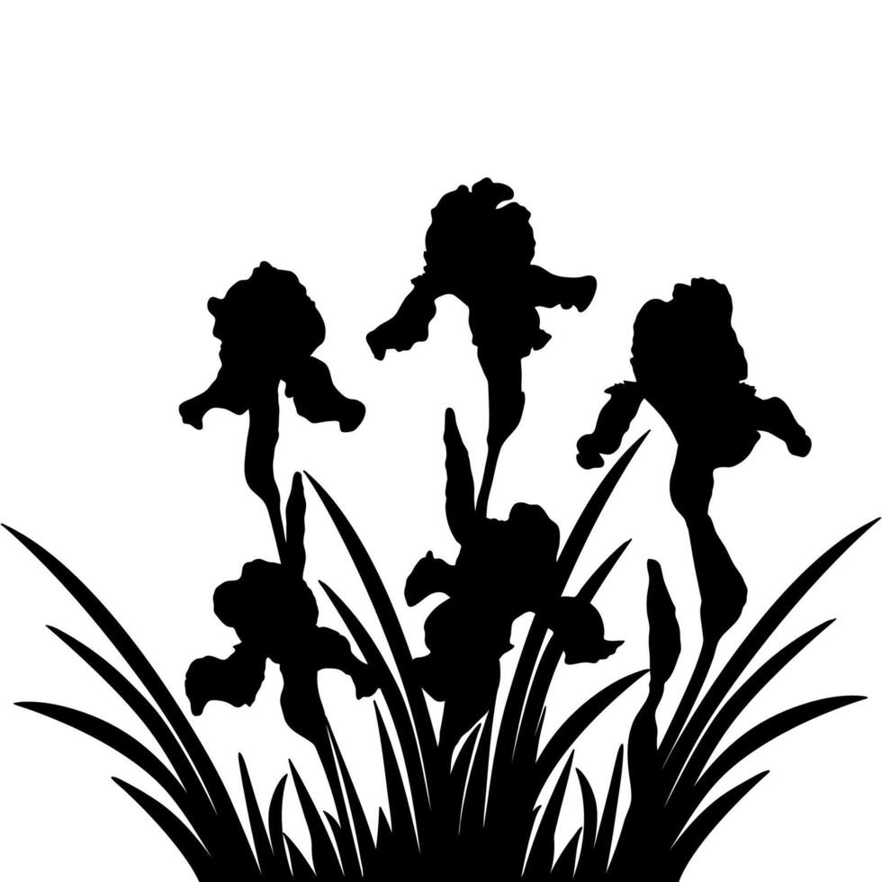 iris bloem silhouetten vector