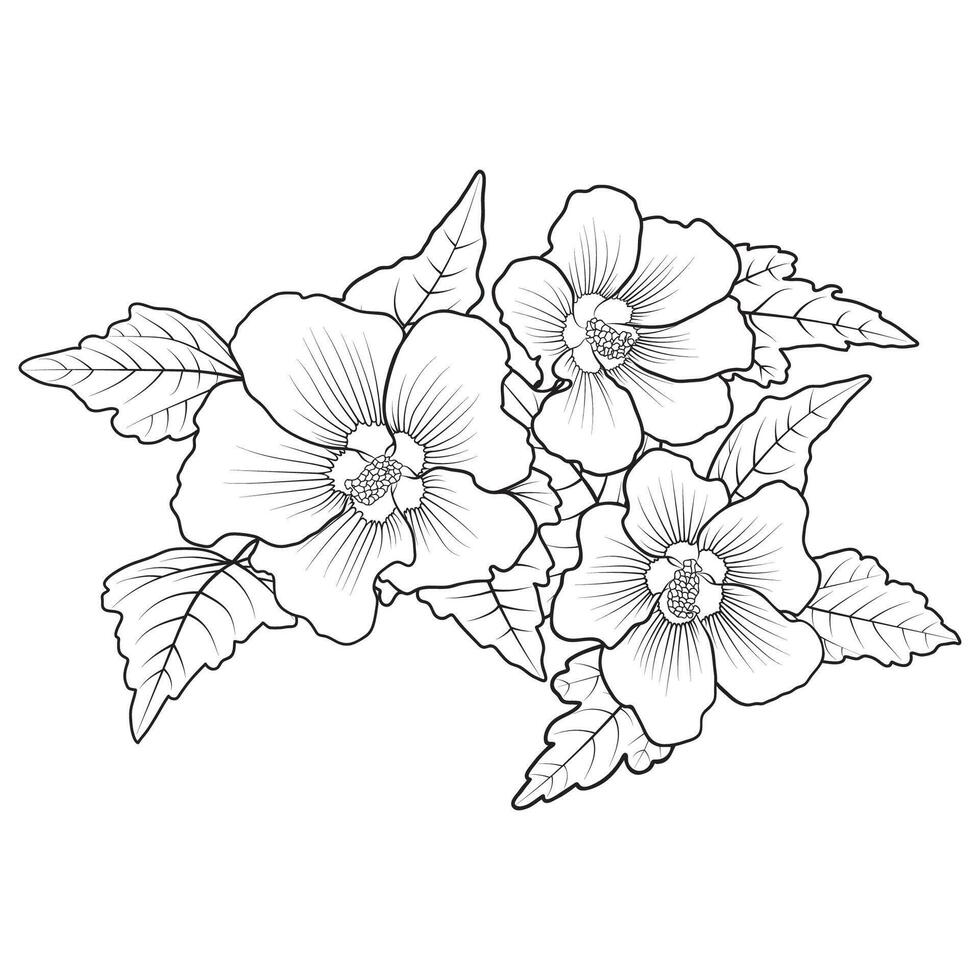 schets winterhard hibiscus syriacus vector