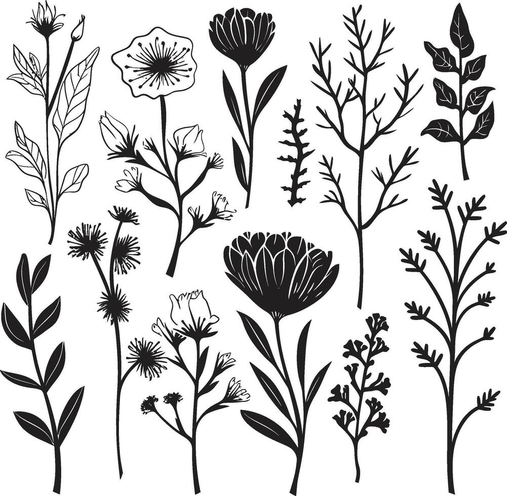 eindeloos bloesems monochromatisch embleem met vector logo in zwart tijdloos bloemblaadjes elegant zwart icoon presentatie van botanisch bloemen