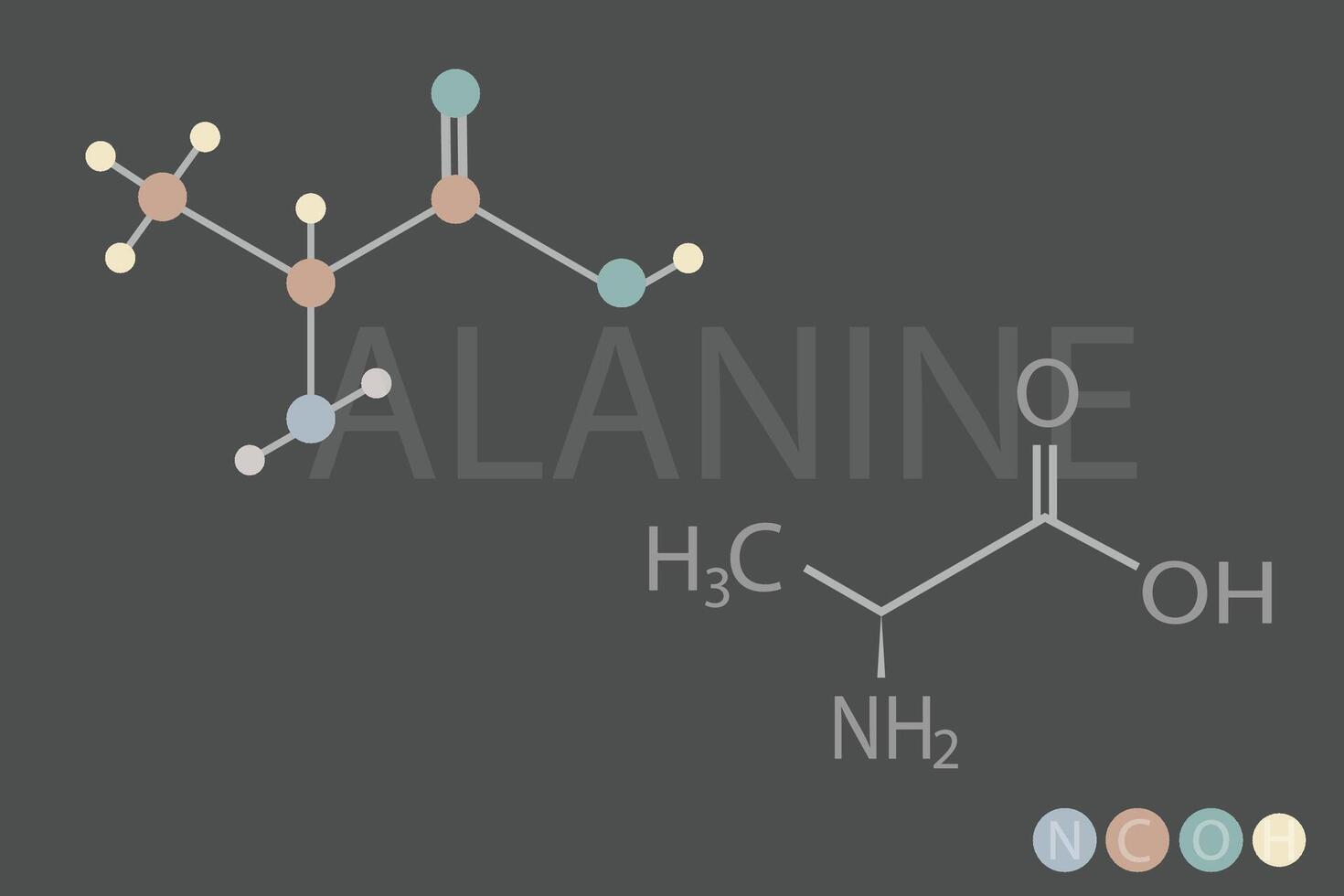 alanine moleculair skelet- chemisch formule vector