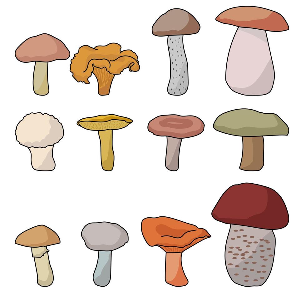 eetbare paddenstoelenset, paddenstoelen in verschillende kleuren, vormen en maten vector