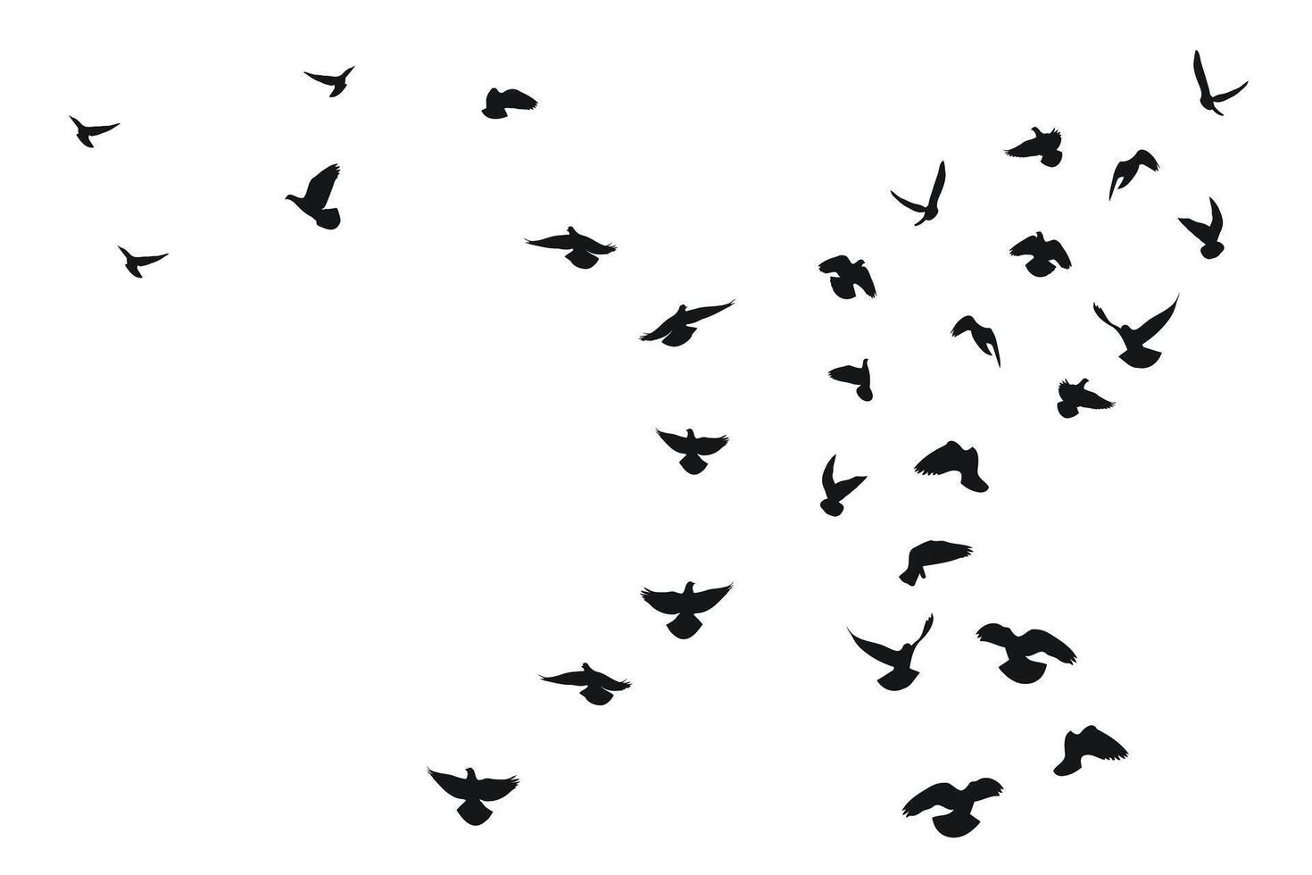 schetsen silhouet van een kudde van vliegend zwart vogels, opstijgen, vliegen, vlucht, fladderen, vlieg, zweven, zweven, landen, geïsoleerd vector