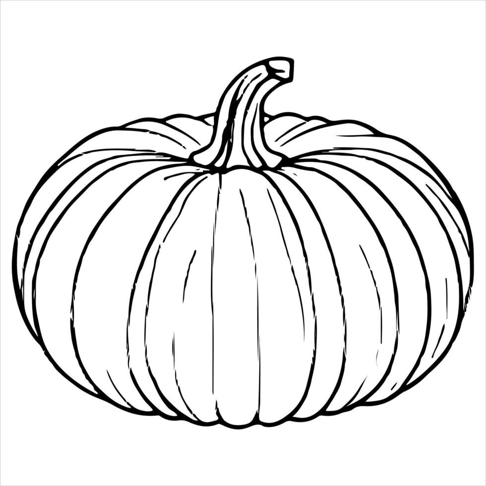 ai gegenereerd doorlopend een zwart lijn tekening van pompoen halloween herfst oogst schets schetsen tekening voor kleur vector Aan wit achtergrond