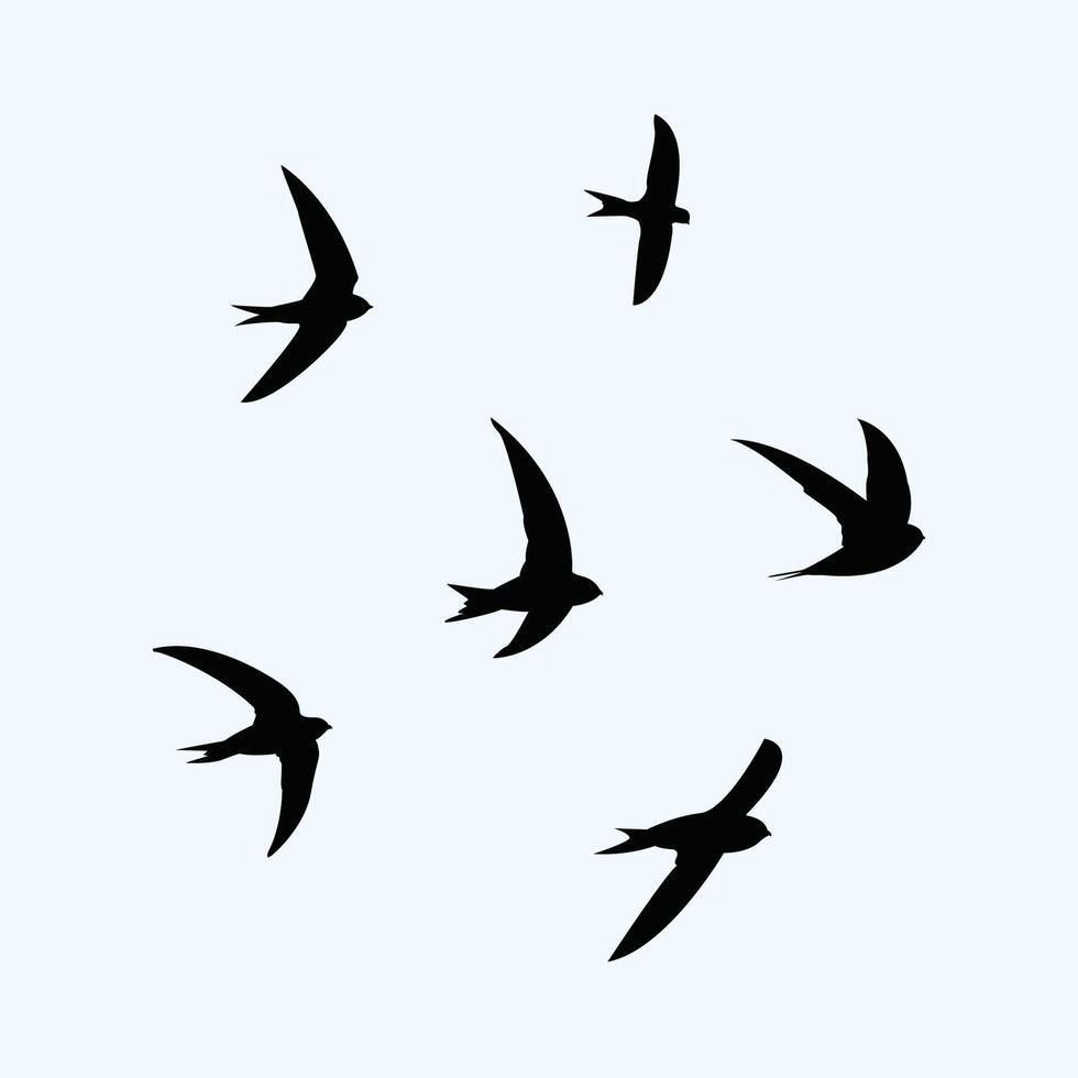 snel vogelstand silhouet illustratie vector