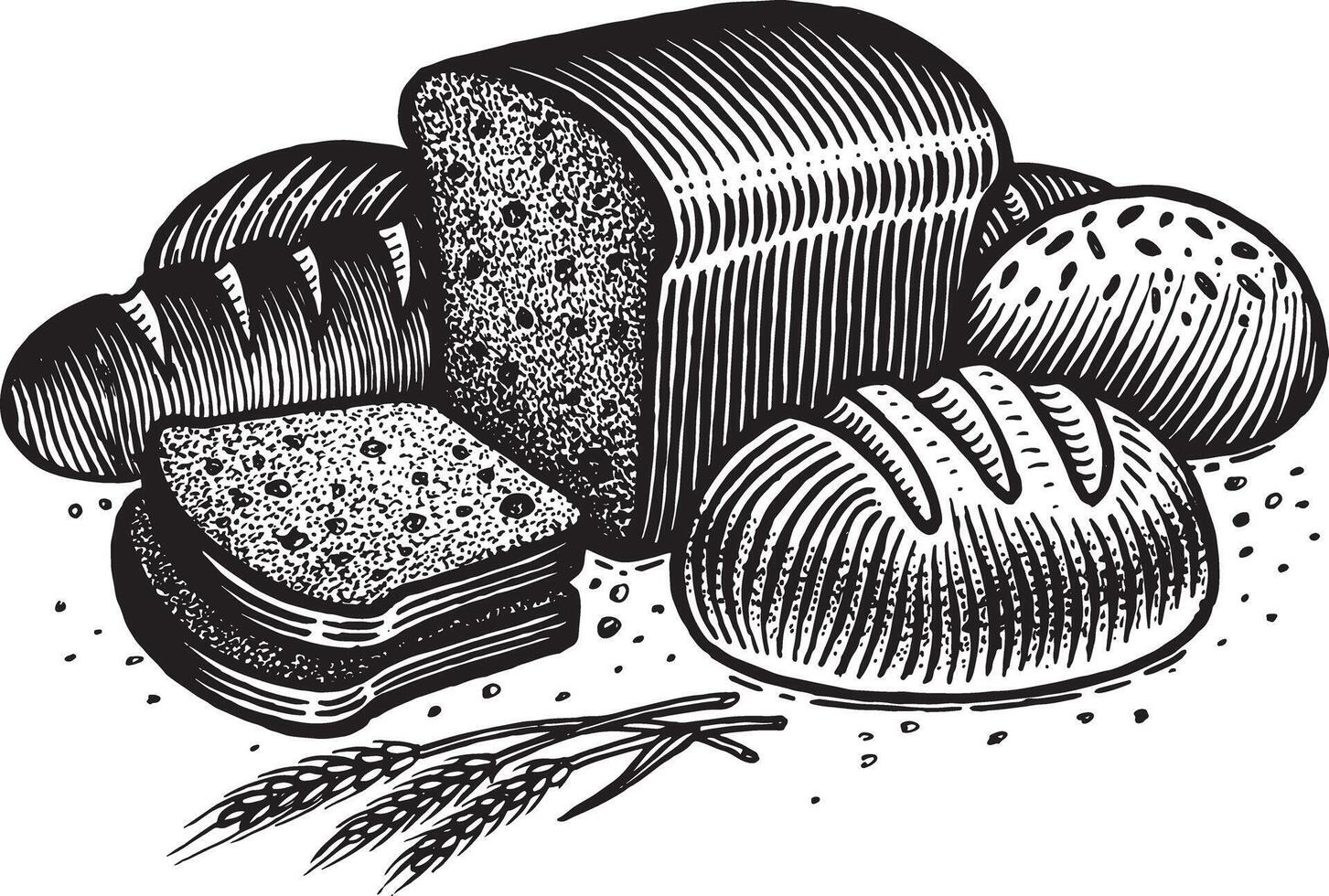 brood, illustratie. wijnoogst grafiek en handwerk. tekening met een inkt pen en potlood. de rogge brood, gesneden, brood, aartjes en granen, ronde brood, besprenkeld met meel en zemelen vector