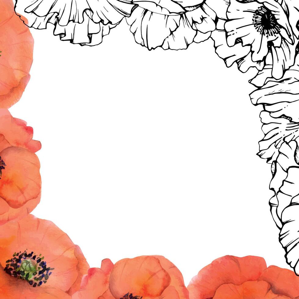 hand- getrokken waterverf botanisch illustratie bloemen bladeren. rood papaver papaver, stengels bloemknoppen zaaddozen. grens kader geïsoleerd Aan wit achtergrond. ontwerp bruiloft, liefde kaarten, herinnering dag schrijfbehoeften vector