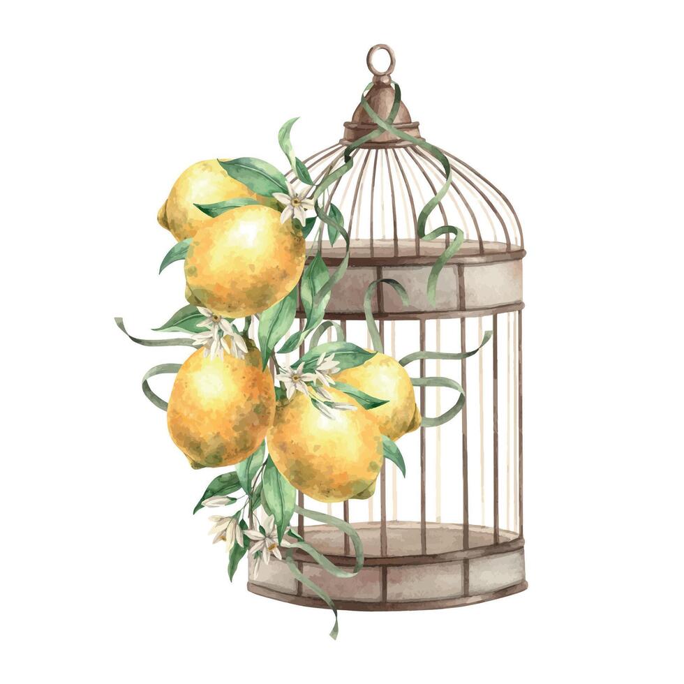 metaal vogel kooi met een Afdeling van geel citroenen en groen, dun satijn linten. geïsoleerd waterverf illustratie in wijnoogst stijl. samenstelling getrokken voor interieur, kaarten, bruiloft ontwerp, uitnodigingen vector