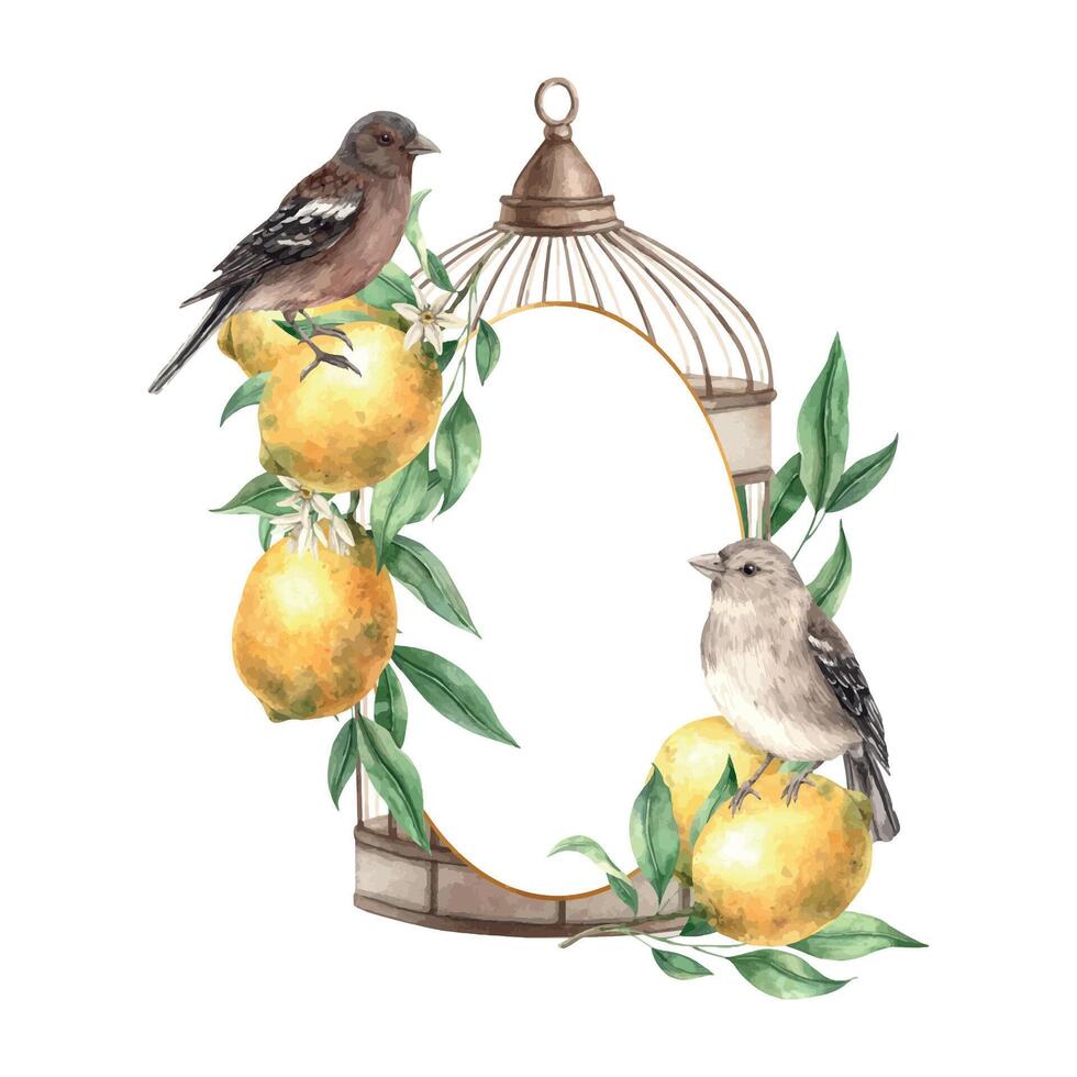 bronzen kooi met geel citroenen, groen bladeren, takken en realistisch vogels. geïsoleerd waterverf kader in wijnoogst stijl. hand- getrokken samenstelling voor decoratie van kaarten, bruiloft ontwerp, uitnodigingen vector