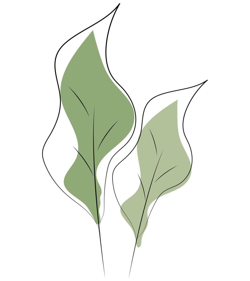 blad geïsoleerd Aan wit achtergrond. illustratie van een groen blad. bloemen reeks illustratie. neutrale bloemen, minimalisme. vector