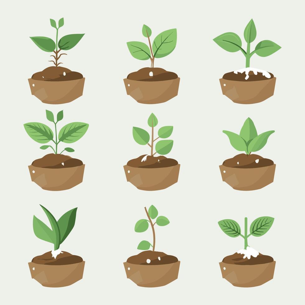 bloemen en planten zaailing werkwijze vlak pictogrammen illustratie vector