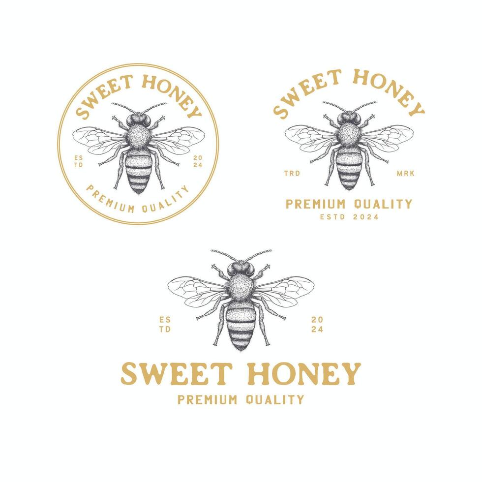 wijnoogst honing bij logo ontwerp met hand- getrokken stijl voor honing Product of honing boerderij. vector