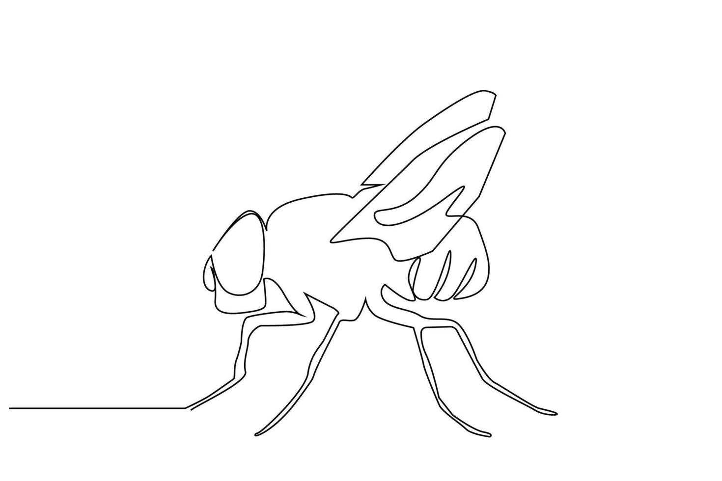 vlieg insect biologie een lijn kunst ontwerp vector