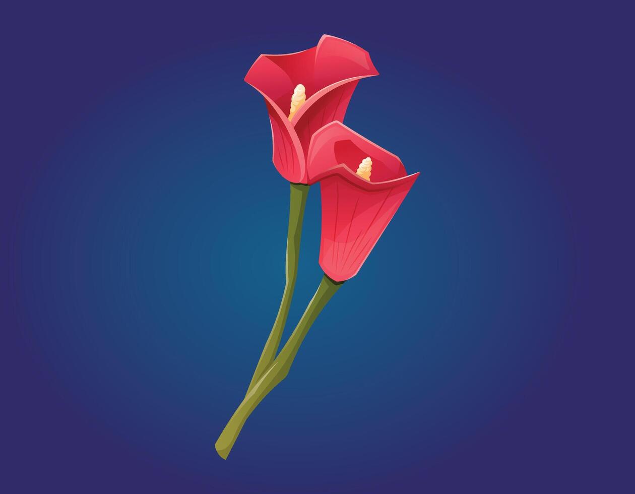 helder rood bloemknoppen Aan de stam van een calla lelie. geïsoleerd bloemen tekenfilm illustratie. vector