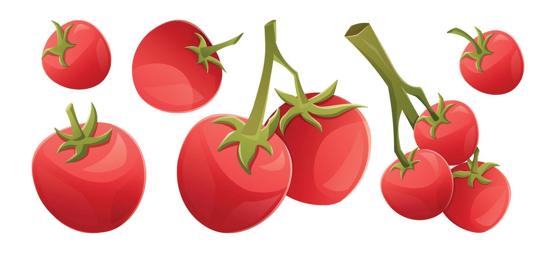 reeks van takken met rijp rood kers tomaten. geïsoleerd tekenfilm illustratie verzameling van natuurlijk biologisch groente. vector