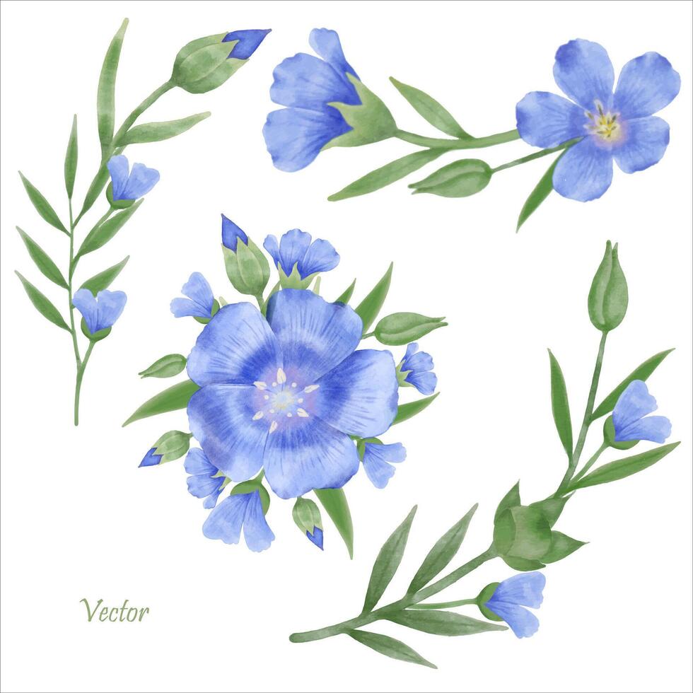 mooi waterverf vlas bloemen - voorjaar botanisch ontwerp vector