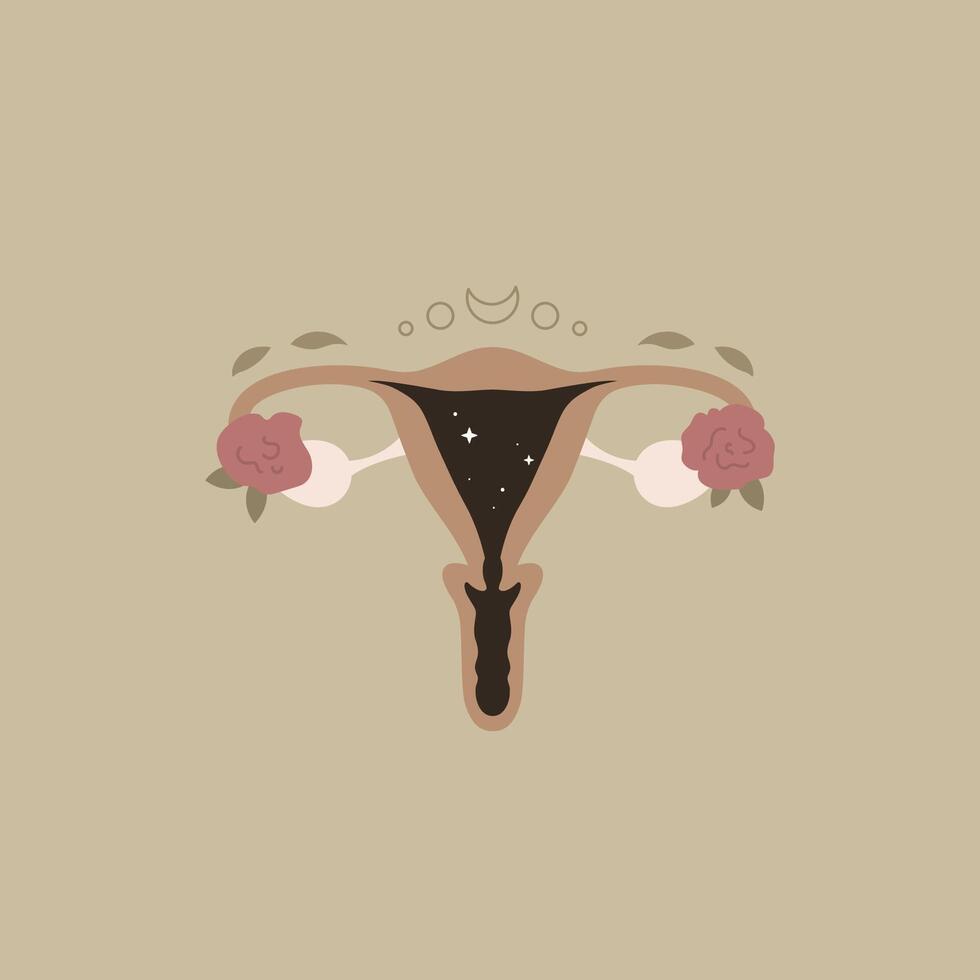 baarmoeder. Dames Gezondheid vector