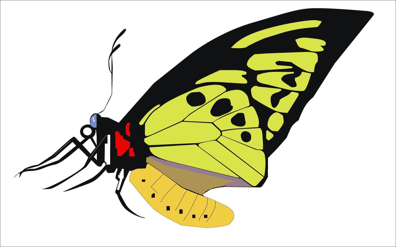 illustratie van een zwart en geel vlinder met een wit achtergrond vector