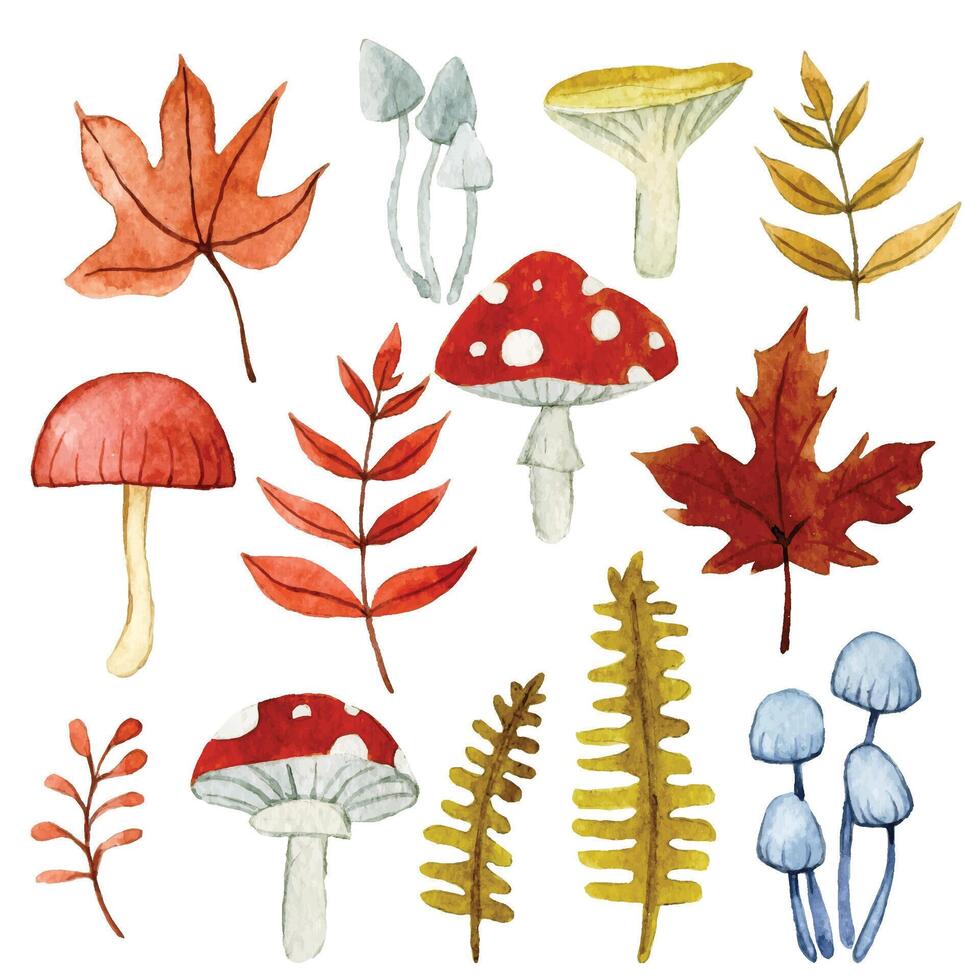 reeks van schattig herfst bladeren en champignons. waterverf tekening tekenfilm vector