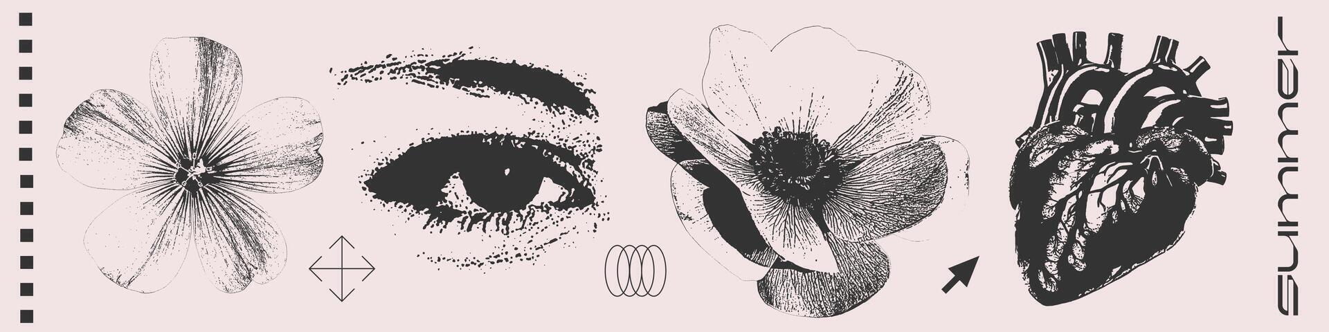 grunge fotografie reeks met vrouw oog, menselijk hart en zomer bloemen. y2k retro halftone collage element verzameling knal kunst tijdschrift stijl uitknippen voorwerpen. geïsoleerd illustratie. vector