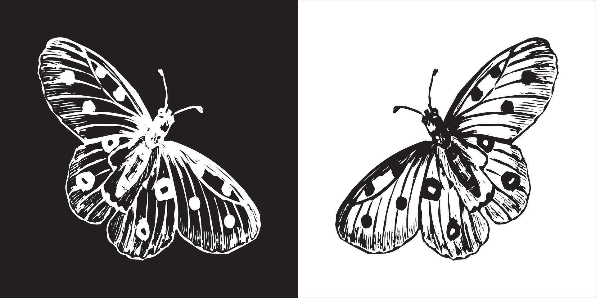 illustratie grafiek van vlinder icoon vector